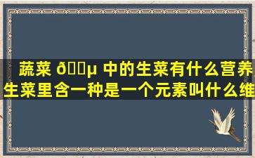 蔬菜 🌵 中的生菜有什么营养,生菜里含一种是一个元素叫什么维生素